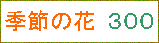 G߂̉ԁ@ROO